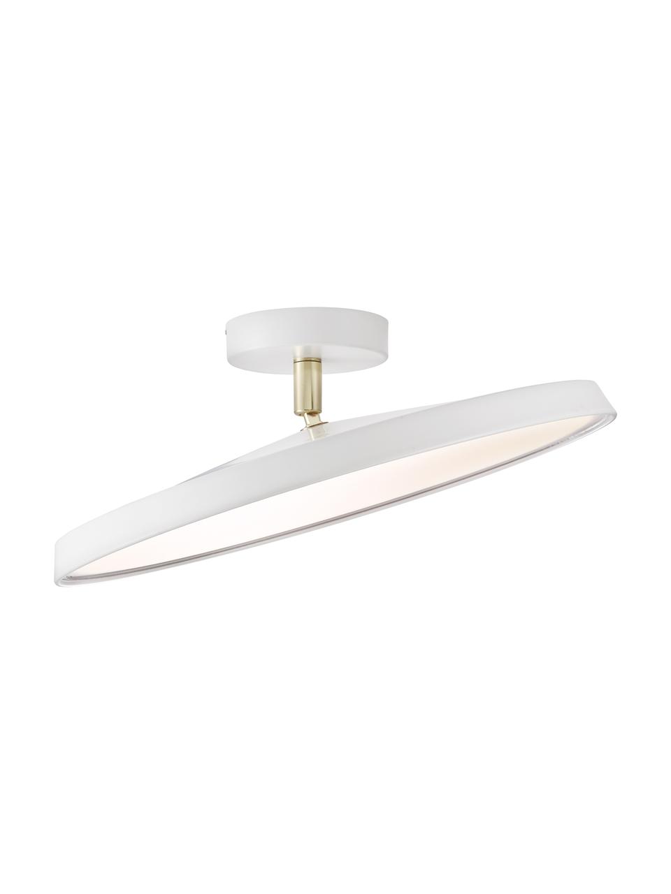 LED plafondlamp Alba in wit, Lampenkap: aluminium, Diffuser: acrylglas, Wit, Ø 40 x H 12 cm