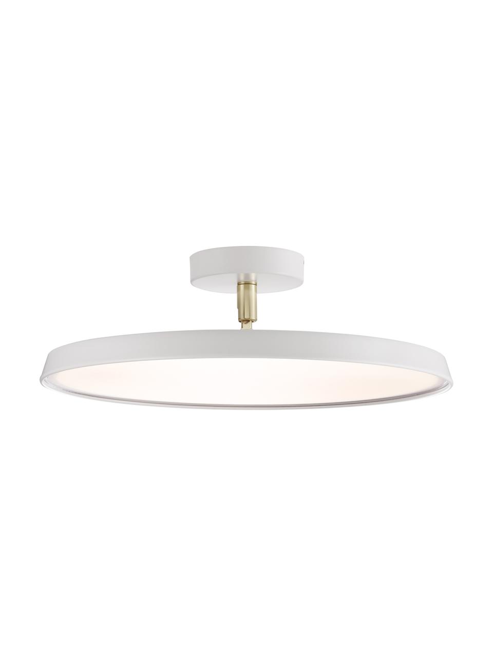 LED plafondlamp Alba in wit, Lampenkap: aluminium, Diffuser: acrylglas, Wit, Ø 40 x H 12 cm