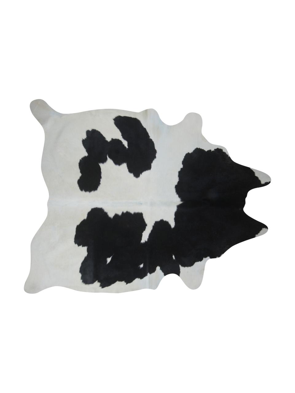 Tappeto in pelle di mucca Otto, Pelle di mucca, Nero, bianco, Pelle di mucca unica 975, 160 x 180 cm