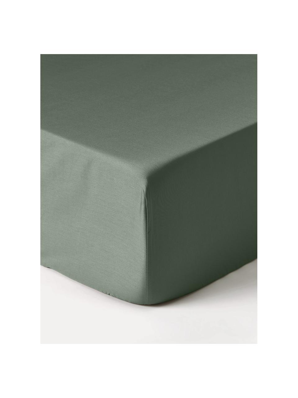 Napínací prostěradlo z bavlněného saténu na kontinentální postel Premium, Tmavě zelená, Š 90 cm, D 200 cm, V 35 cm