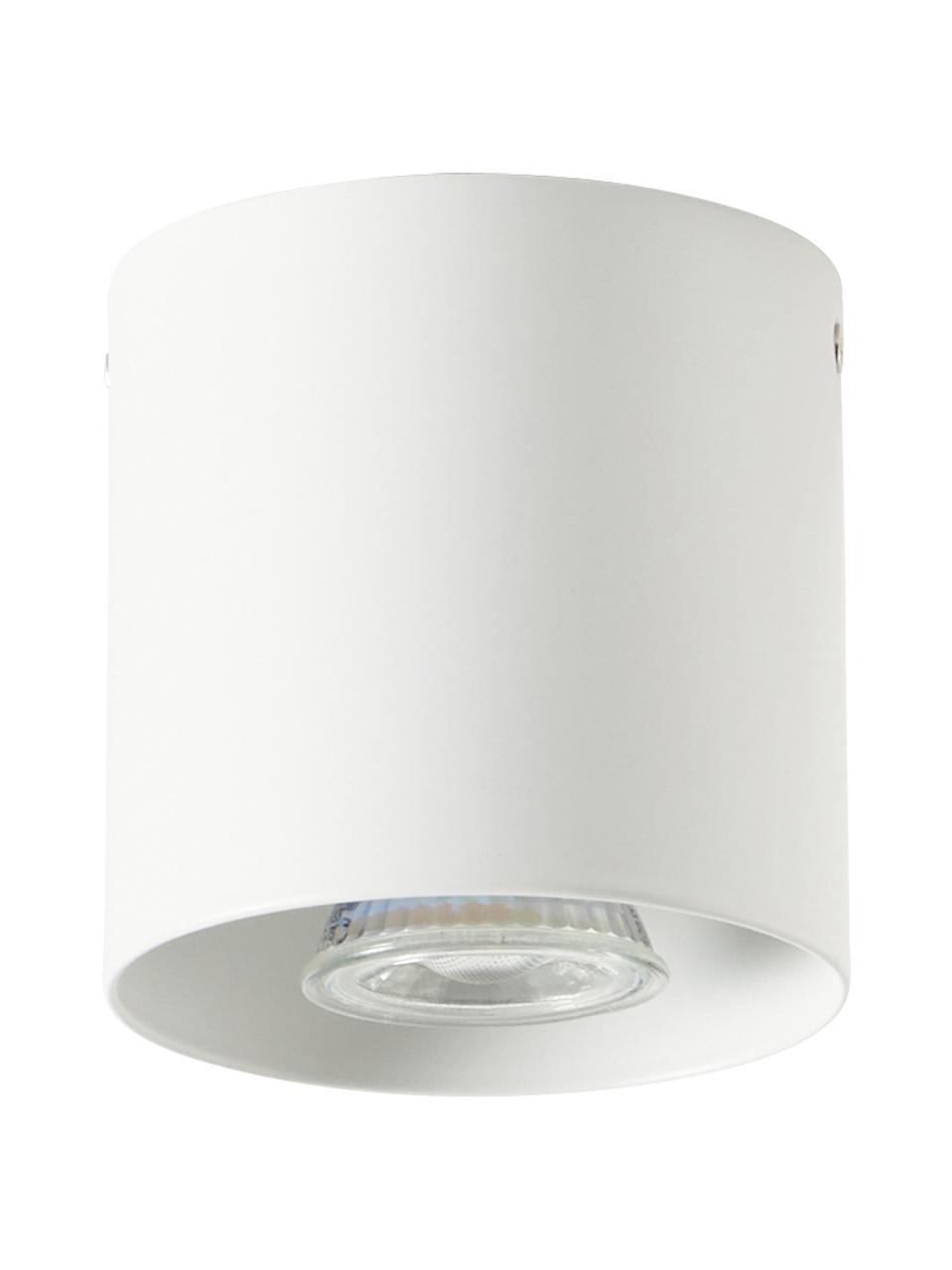 Foco Roda, Lámpara: aluminio recubierto, Blanco, mate, Ø 10 x Al 10 cm