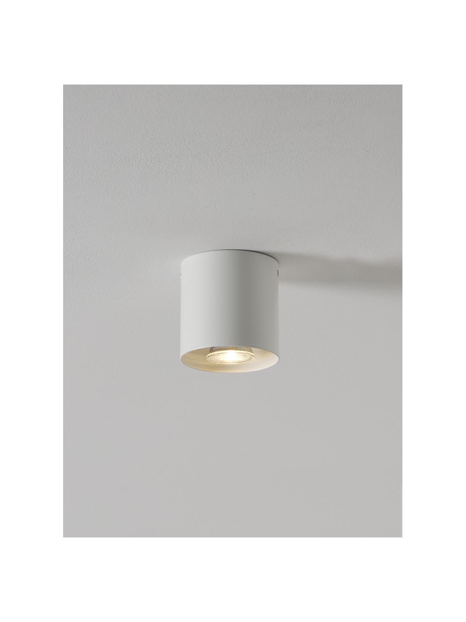 Faretto da soffitto Roda, Metallo verniciato a polvere, Bianco, Ø 10 x Alt.10 cm