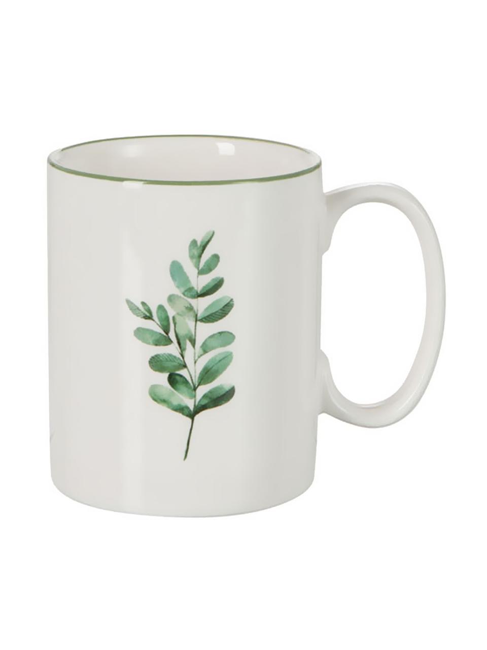 Tazas de té Eukalyptus, 6 uds., Porcelana New Bone China, Blanco, verde, Ø 8 cm