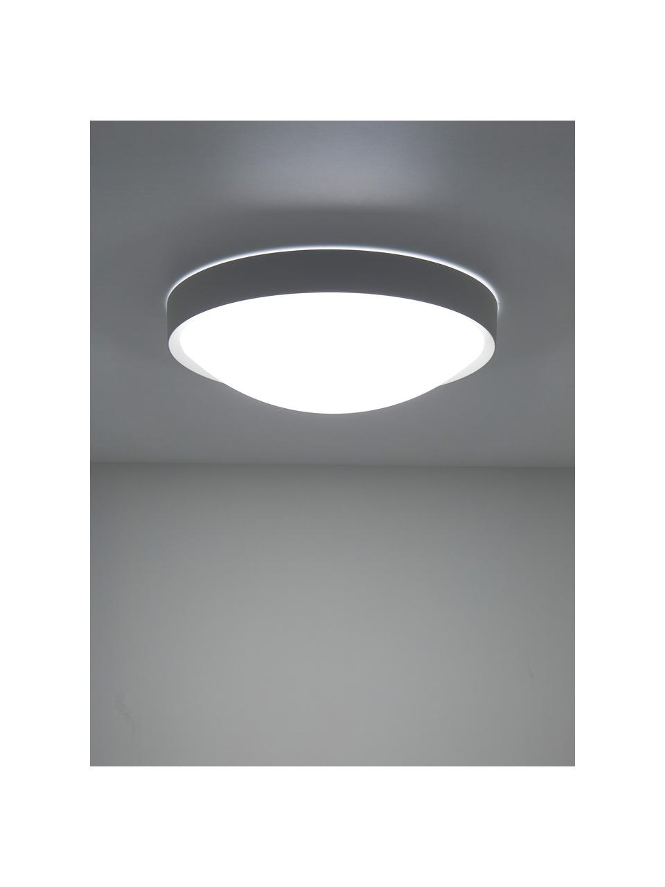 Plafón pequeño LED Altus, Pantalla: plástico, Blanco, Ø 30 x Al 9 cm