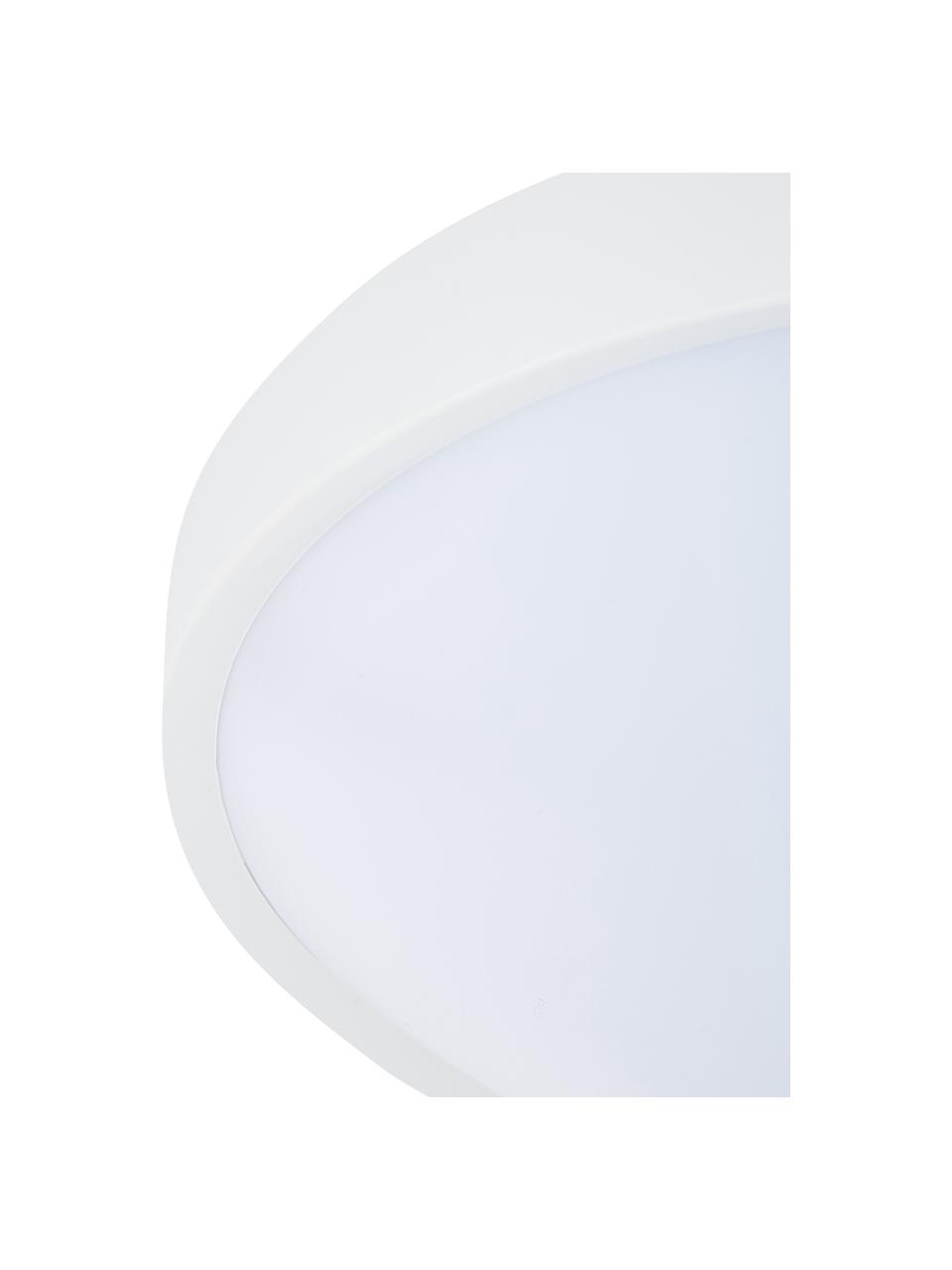 Plafoniera a LED Altus, Paralume: materiale sintetico, Disco diffusore: materiale sintetico, Bianco, Ø 30 x Alt. 9 cm