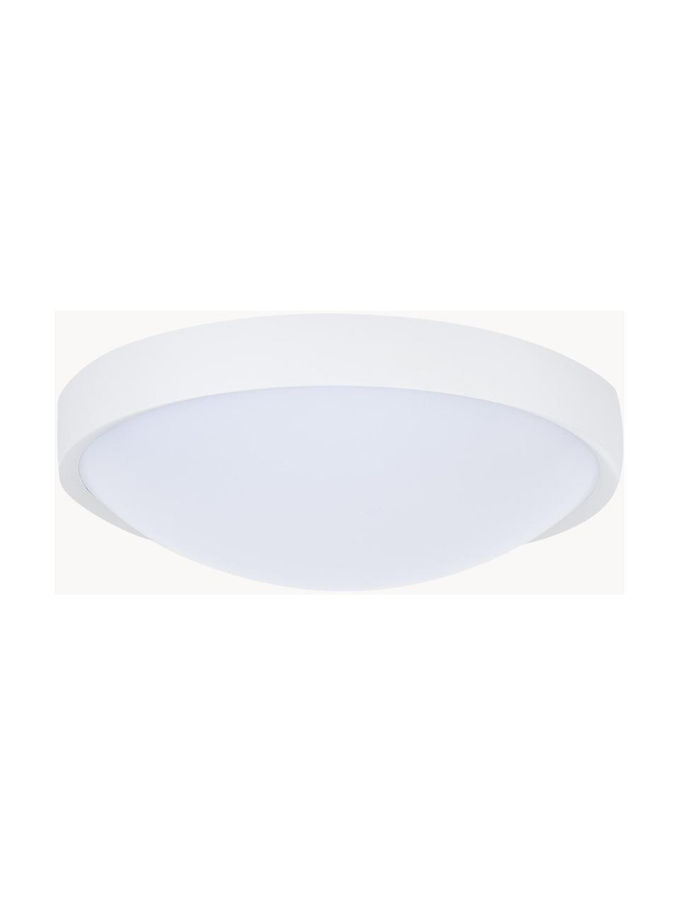 Petit plafonnier LED Altus, Blanc, Ø 30 x haut. 9 cm