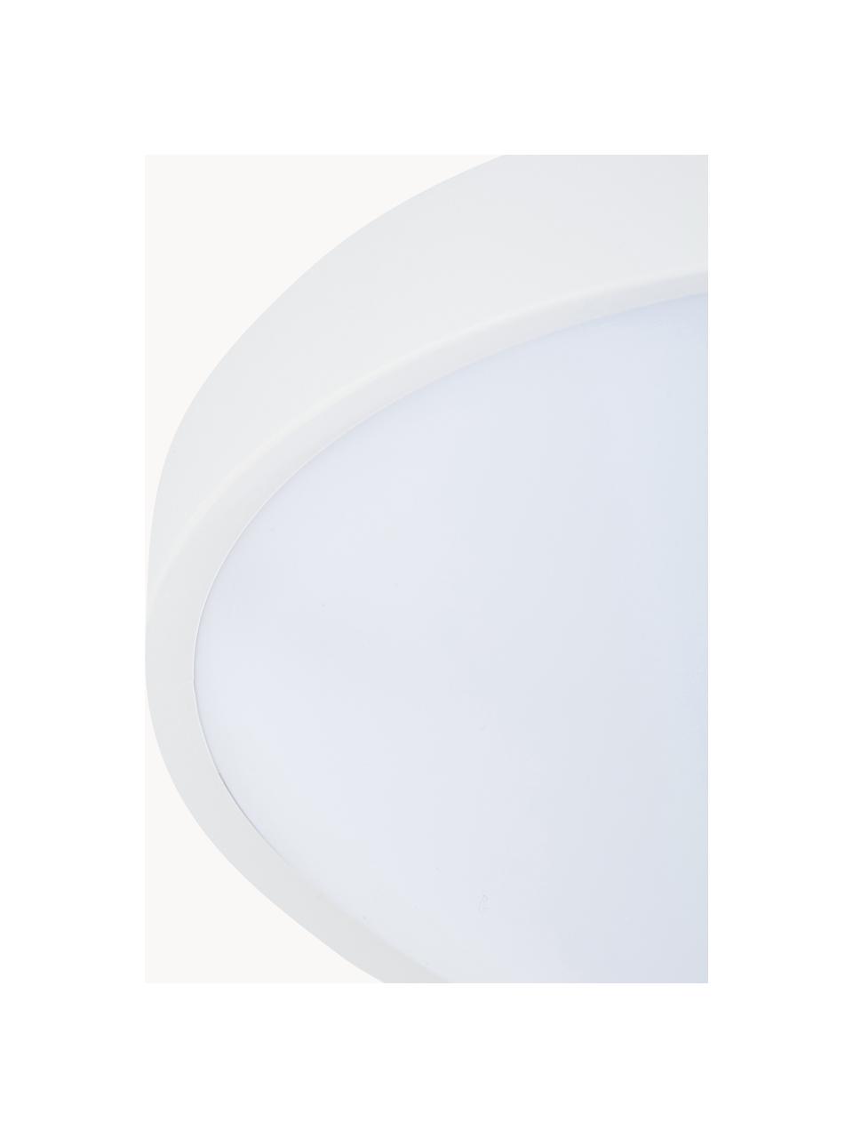 Plafoniera a LED Altus, Paralume: materiale sintetico, Disco diffusore: materiale sintetico, Bianco, Ø 30 x Alt. 9 cm