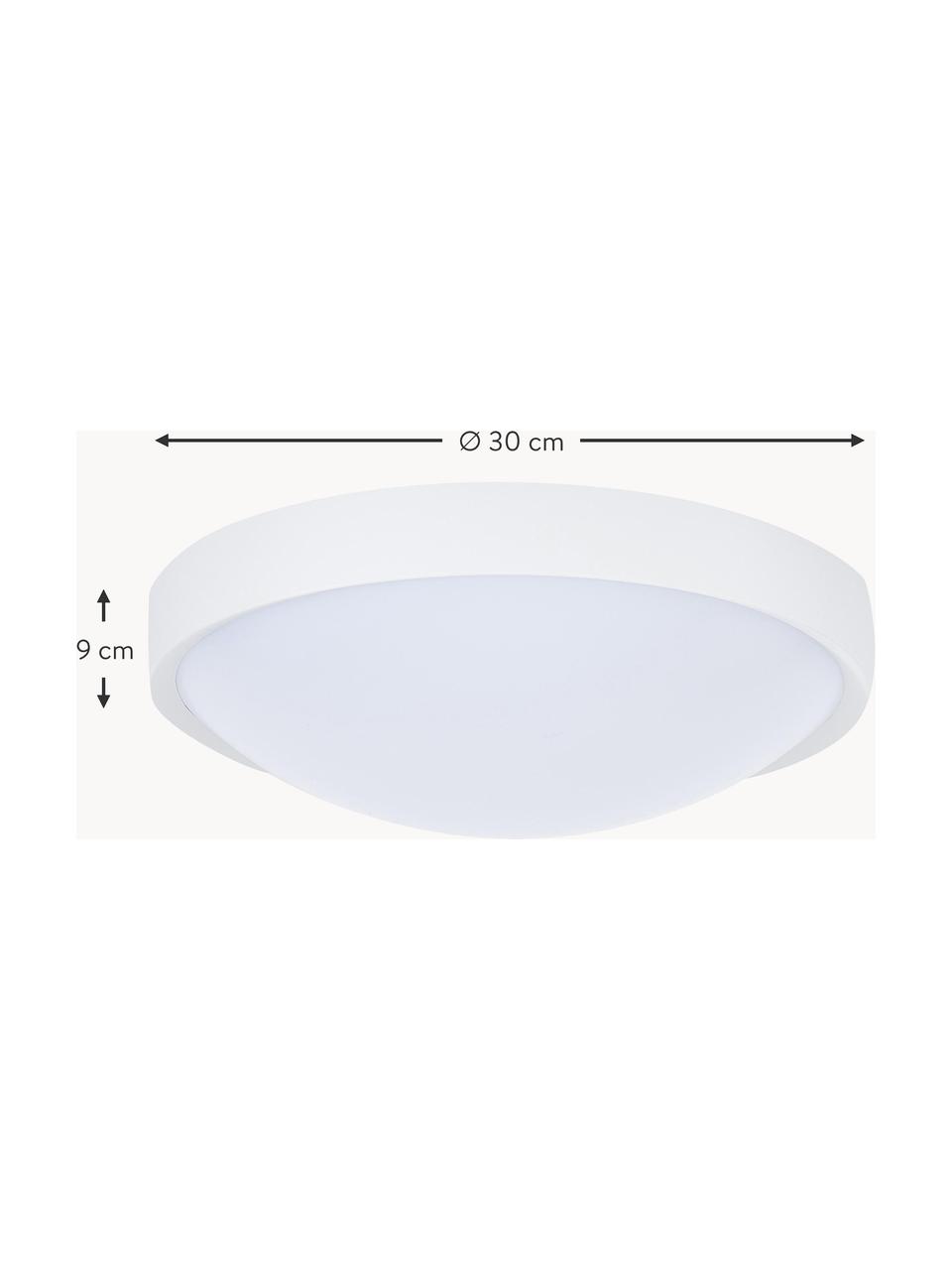 Plafón pequeño LED Altus, Pantalla: plástico, Blanco, Ø 30 x Al 9 cm