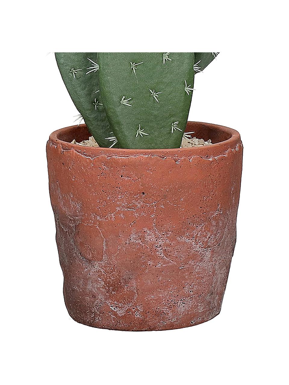 Cactus artificial con maceta Love, Verde, terracota, Ø 13 x Al 46 cm