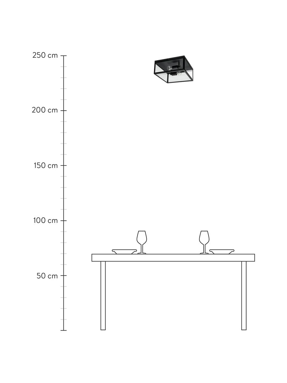 Stropní svítidlo v industriálním stylu Aberdeen, Černá, transparentní, Š 36 cm, V 16 cm