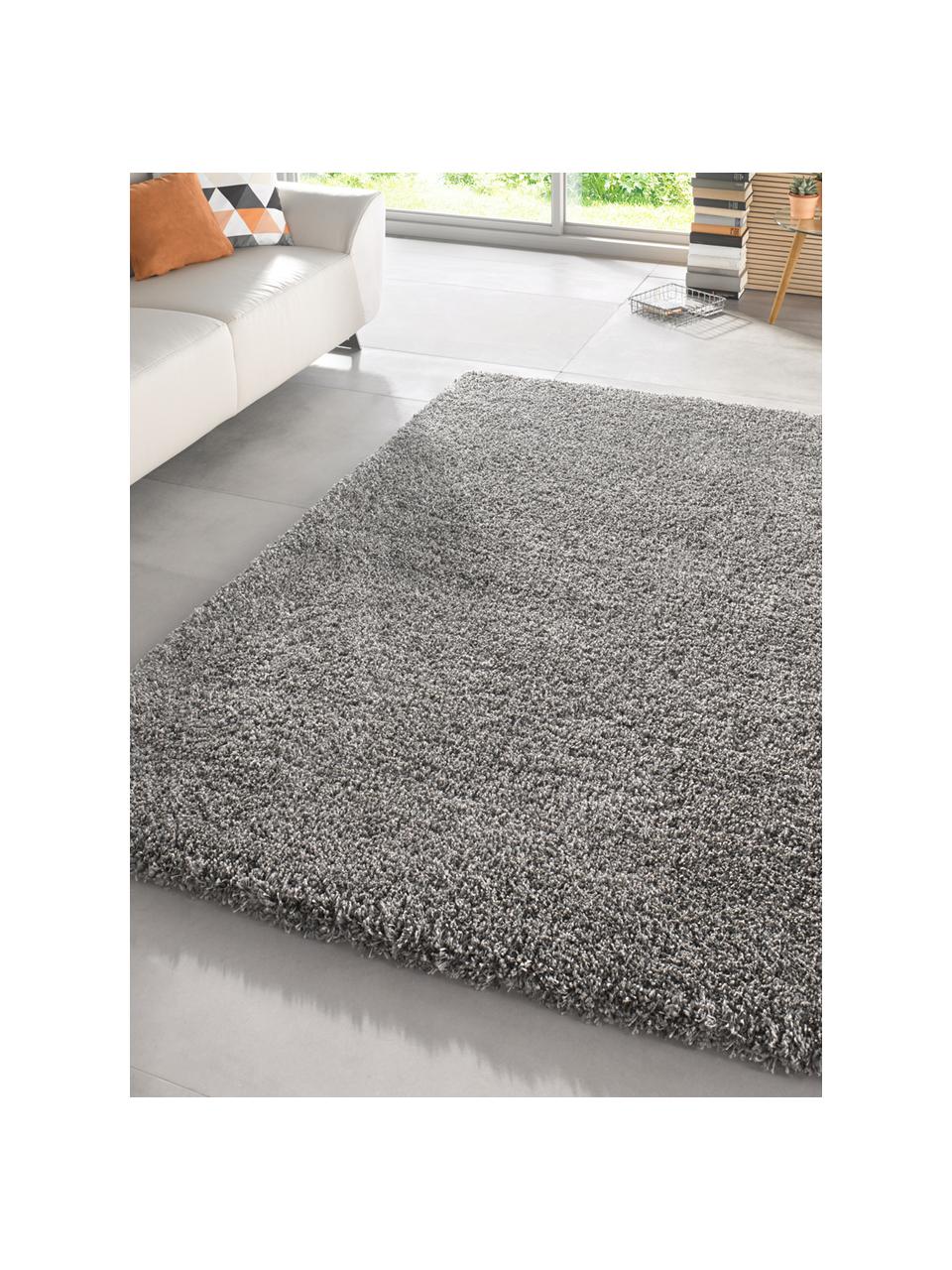 Tapis épais à poils longs Venice, Gris