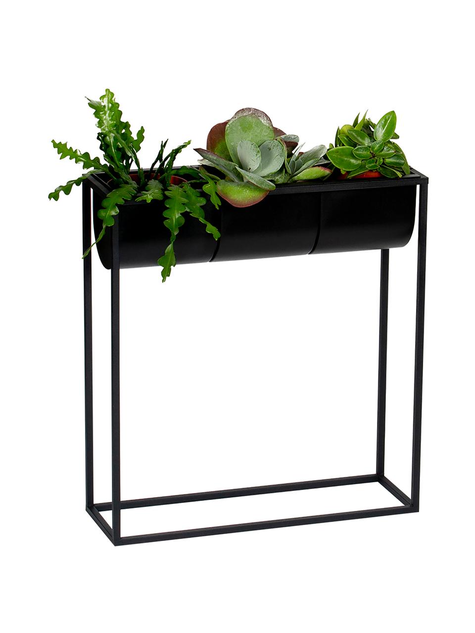 Plantenpottenset Bino van kunststof en metaal, 4-delig, Frame: gecoat metaal, Zwart, 48 x 52 cm