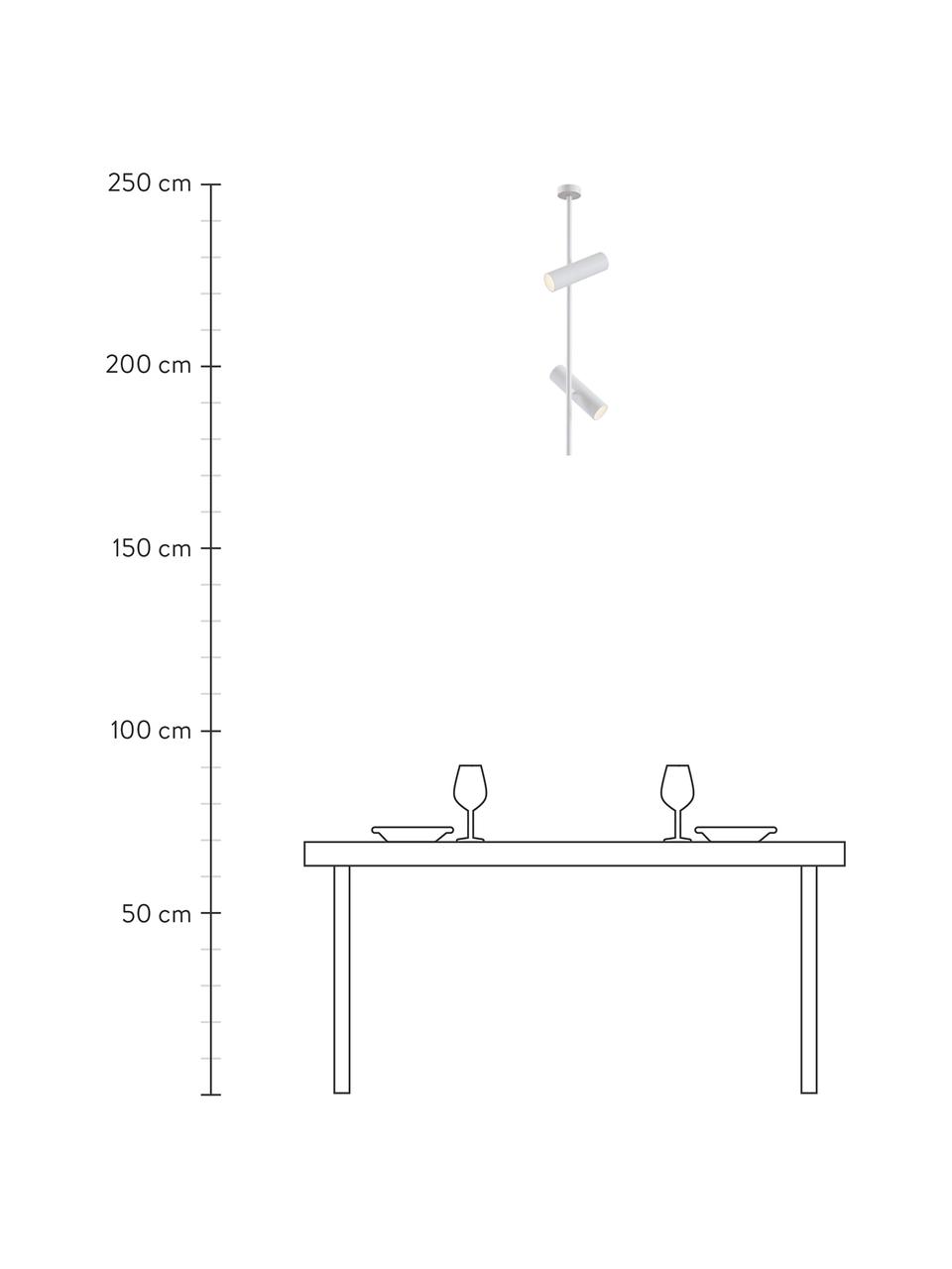 Lampada dimmerabile da soffitto color bianco Elti, Struttura: alluminio verniciato a po, Baldacchino: alluminio verniciato a po, Bianco, Larg. 20 x Alt. 77 cm