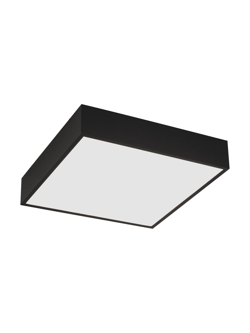 Kleine LED plafondlamp Zeus in zwart, Diffuser: kunststof, Zwart, B 30 x H 6 cm