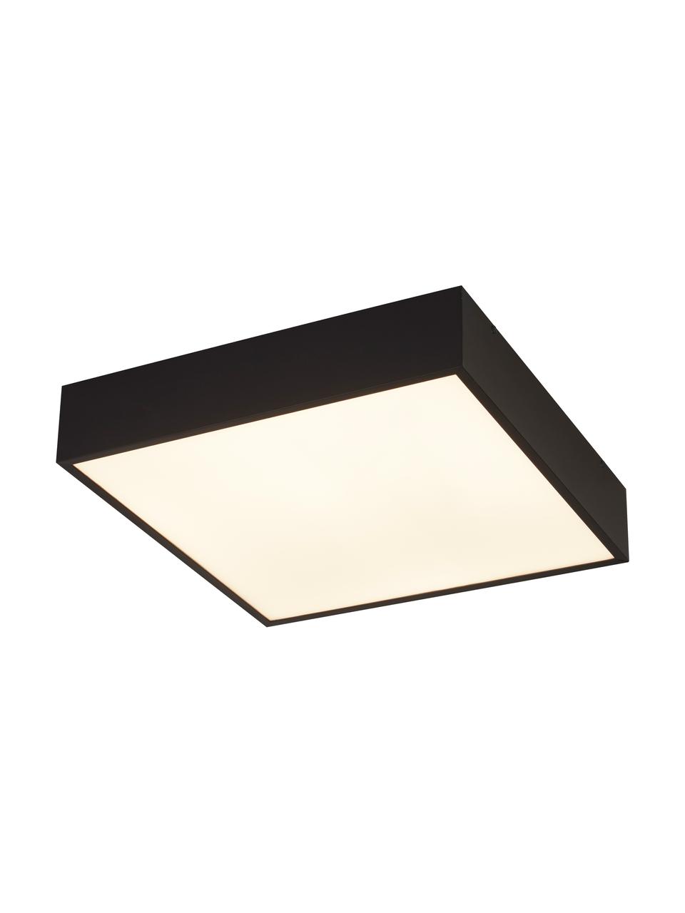 Kleine LED plafondlamp Zeus in zwart, Diffuser: kunststof, Zwart, B 30 x H 6 cm