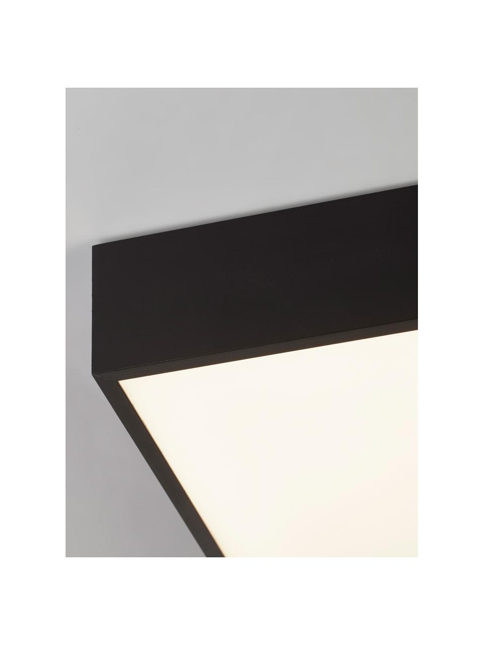 Petit plafonnier LED noir Zeus, Noir, larg. 30 x haut. 6 cm