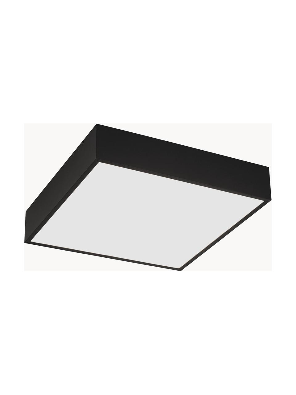 Kleine LED Bad-Deckenleuchte Zeus, Schwarz, B 30 x H 6 cm