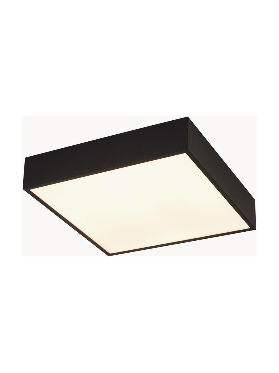 Kleine LED Bad-Deckenleuchte Zeus, Schwarz, B 30 x H 6 cm