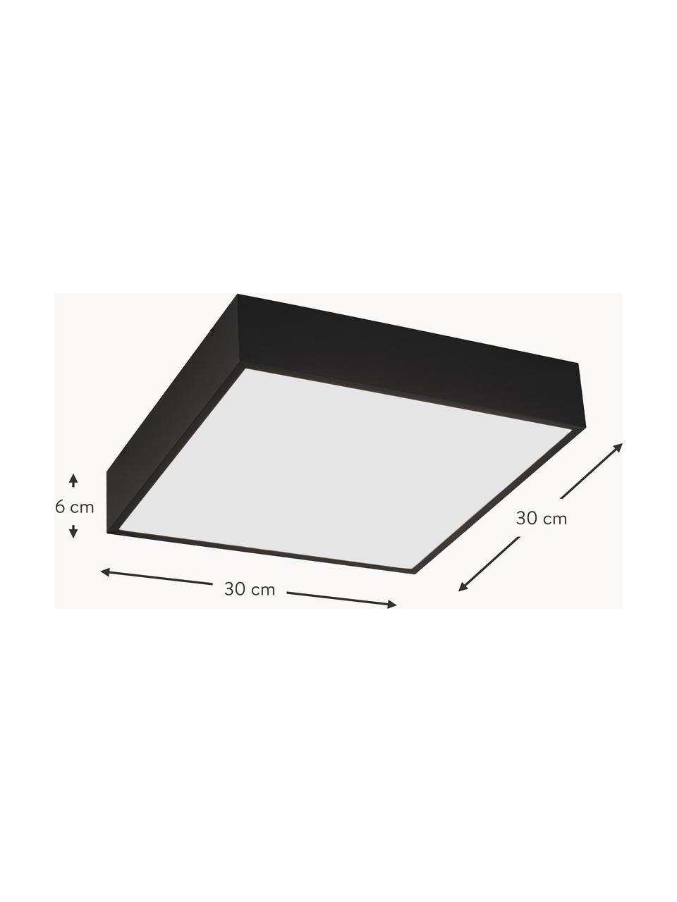 Kleine LED Bad-Deckenleuchte Zeus, Schwarz, B 30 x H 6 cm