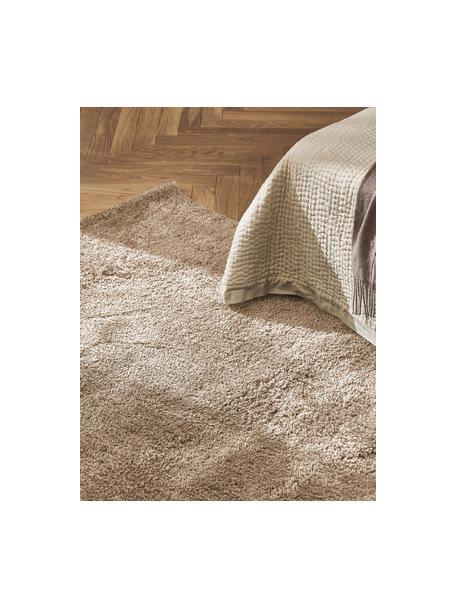 Flauschiger Hochflor-Teppich Leighton, Mikrofaser (100 % Polyester, GRS-zertifiziert), Nougat, B 400 x L 500 cm (Grösse XXL)