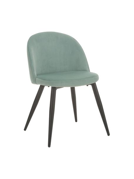 Sedia imbottita in velluto blu verde Amy 2 pz, Rivestimento: velluto (poliestere) Con , Gambe: metallo verniciato a polv, Velluto turchese, Larg. 51 x Prof. 55 cm