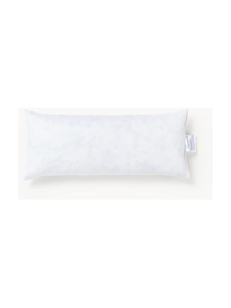 Wkład do poduszki dekoracyjnej Comfort, Tapicerka: 80% bawełna, 20% bawełna , Biały, S 30 x D 70 cm
