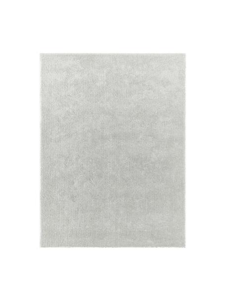 Flauschiger Hochflor-Teppich Leighton, Mikrofaser (100 % Polyester, GRS-zertifiziert), Hellgrau, B 300 x L 400 cm (Größe XL)