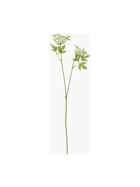 Kunstblume Fenchel, Kunststoff, Metall, Grün, Weiß, L 66 cm