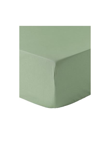 Lenzuolo con angoli in cotone percalle Elsie, Verde salvia, Larg. 90 x Lung. 200 cm
