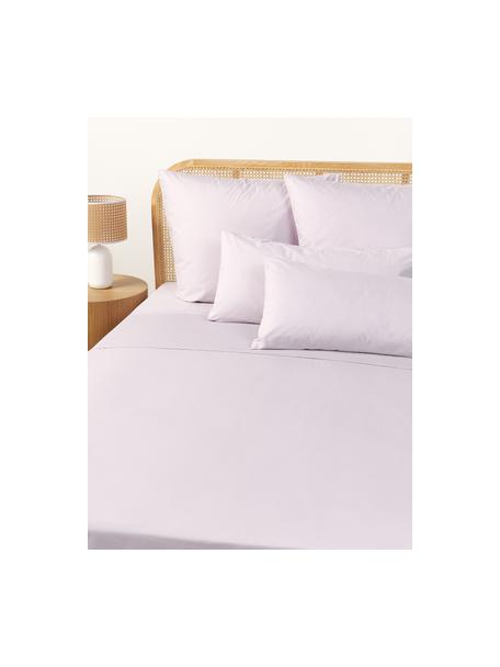 Drap plat en percale de coton Elsie, Lavande, larg. 270 x long. 280 cm