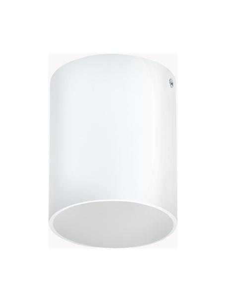 Foco LED Marty, Pantalla: metal con pintura en polv, Blanco mate, Ø 10 x Al 12 cm