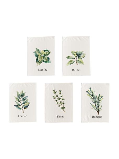 Katoenen theedoekenset Aroma met kruidenmotieven, 5-delig, Katoen, Gebroken wit, groentinten, L 70 x B 50 cm