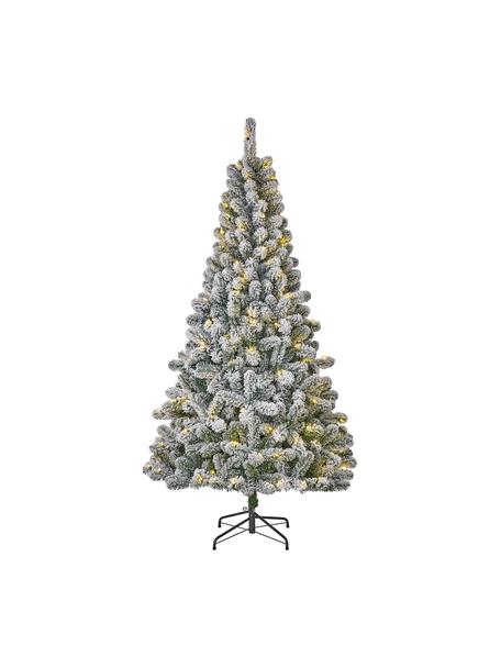 Umělý zasněžený vánoční LED stromeček Millington, Zelená, jinovatka, Ø 109 cm, V 185 cm