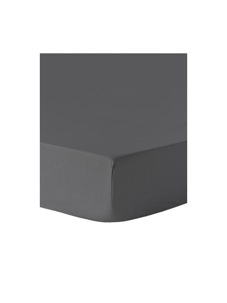 Elastická plachta na topper matrac Elsie, Tmavosivá, Š 90 x D 200 cm, V 15 cm