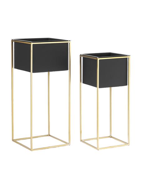 Set de maceteros de metal Leilani, 2 uds., Metal con pintura en polvo, Dorado, negro, An 30 x Al 70 cm