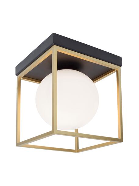 Malá stropná lampa zo skla Juliet, Biela, mosadzná, Š 19 x V 20 cm