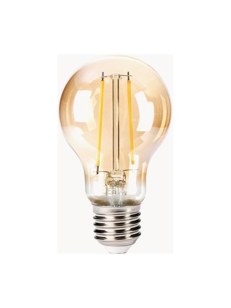 Lampadina E27, 400 lm, bianco caldo, 1 pz, Lampadina: vetro, Base lampadina: alluminio, Trasparente, dorato, Ø 6 x Alt. 10 cm