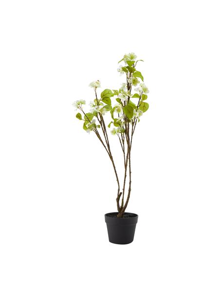 Umělá rostlina v květináči Kirschblüte, Umělá hmota, Zelená, bílá, hnědá, V 89 cm