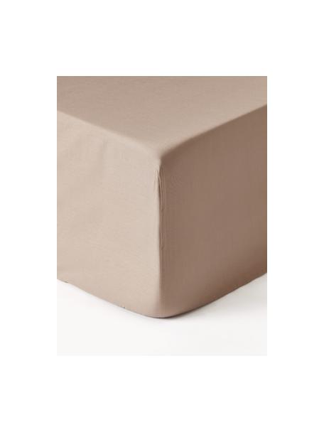 Boxspring-Spannbettlaken Premium, Baumwollsatin, Webart: Satin Fadendichte 400 TC,, Beige, B 180 x L 200 cm, H 35 cm