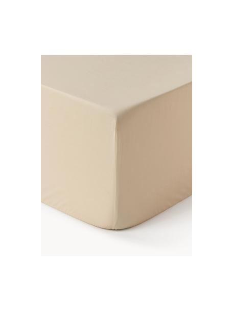 Boxspring hoeslaken Elsie, katoen perkal, Weeftechniek: perkal, Beige, B 90 x L 200 cm, H 35 cm