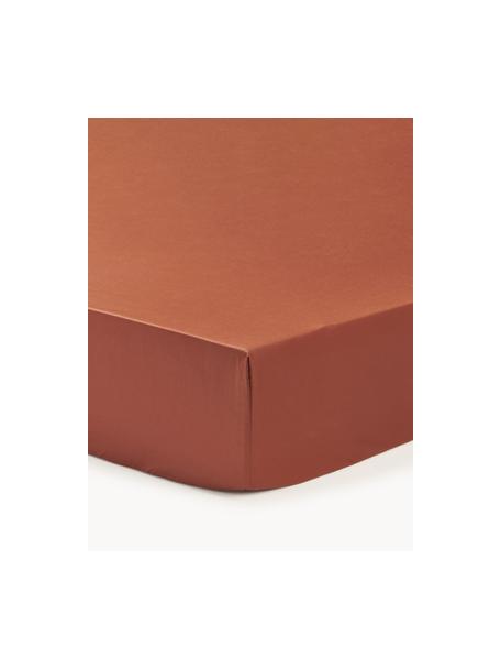 Lenzuolo con angoli topper in raso di cotone Premium, Terracotta, Larg. 90 x Lung. 200 cm, Alt. 15 cm