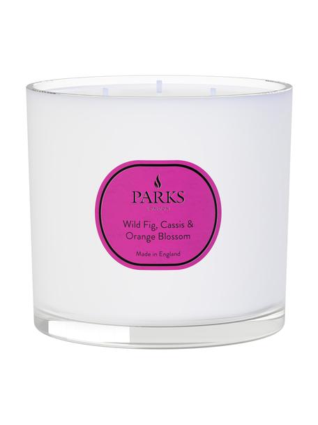 Świeca zapachowa z trzema knotami Vintage Aromatherapy (dzika figa, czarna porzeczka & kwiat pomarańczy), Dzika figa, czarna porzeczka, kwiat pomarańczy, Ø 12 x W 11 cm
