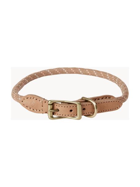 Haustier-Halsband Perry, in verschiedenen Größen, Verschluss: Messing, Beige, L 64 cm