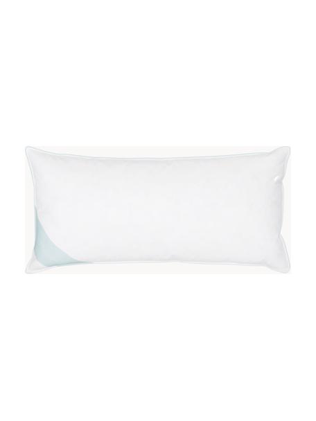 Cuscino medio Comfort, Bianco con fascia di stoffa in raso turchese, Larg. 40 x Lung. 80 cm