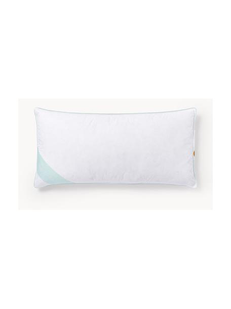 Cuscino medio Comfort, Bianco con fascia di stoffa in raso turchese, Larg. 40 x Lung. 80 cm