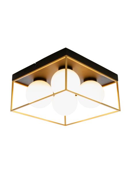 Plafón pequeño de vidrio opalino Astro, Pantalla: vidrio, Estructura: metal recubierto, Anclaje: metal recubierto, Dorado, negro, blanco, An 28 x Al 15 cm