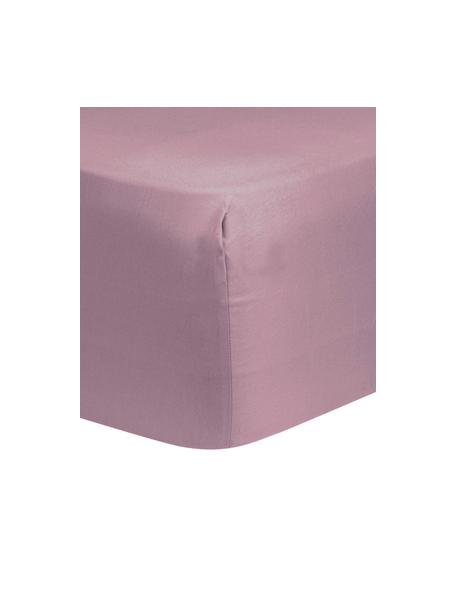 Lenzuolo con angoli in raso di cotone color malva Comfort, Malva, Larg. 90 x Lung. 200 cm