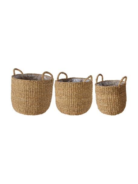 Grands cache-pots en osier Sophy, 3 élém., Algues, Brun clair, Lot de différentes tailles