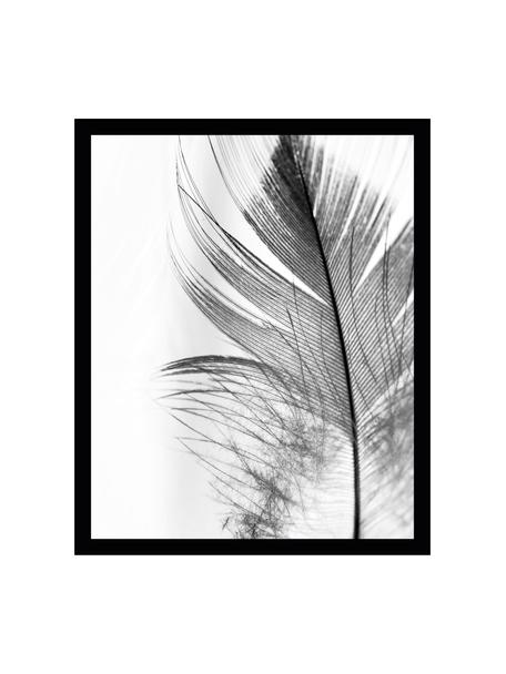 Ingelijste digitale print Feather, Afbeelding: digitale afdruk op papier, Lijst: kunststof (PU), Afbeelding: zwart, wit. Frame: zwart, B 30 x H 40 cm