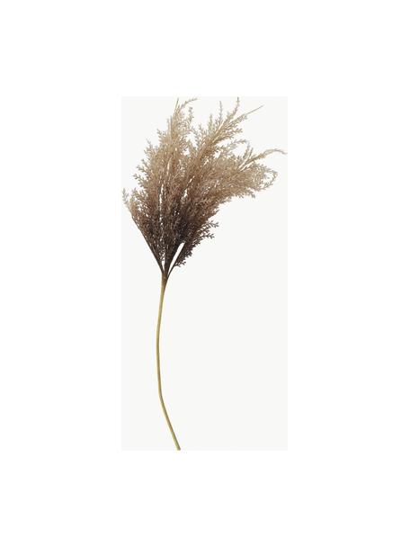 Branche décorative Abenaa, Plastique, métal, Beige, taupe, long. 81 cm